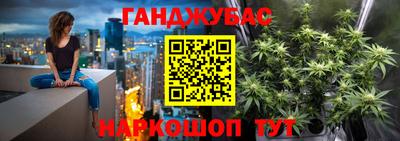 гашик Кулебаки
