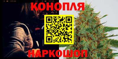гашик Кулебаки